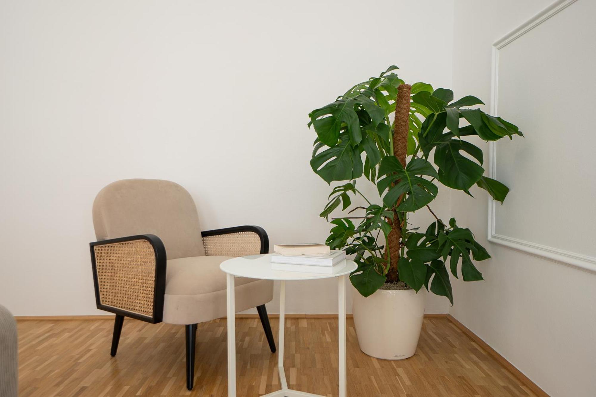 Apartment Apartment In The City